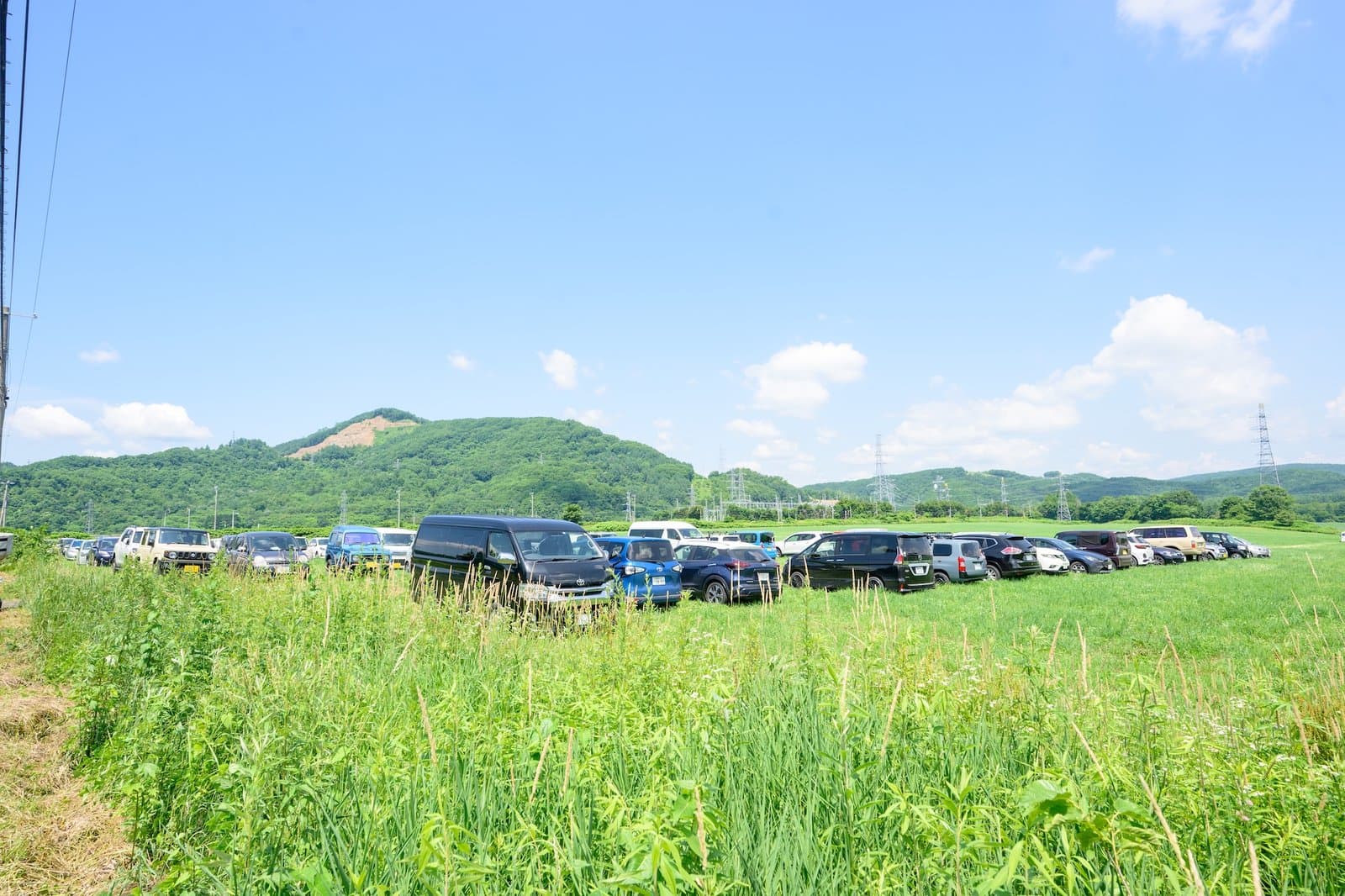 牧草地に並ぶGANKE FESの駐車車列